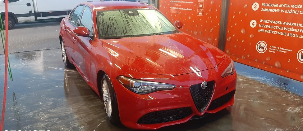 Alfa Romeo Giulia cena 115900 przebieg: 19000, rok produkcji 2022 z Warszawa małe 562